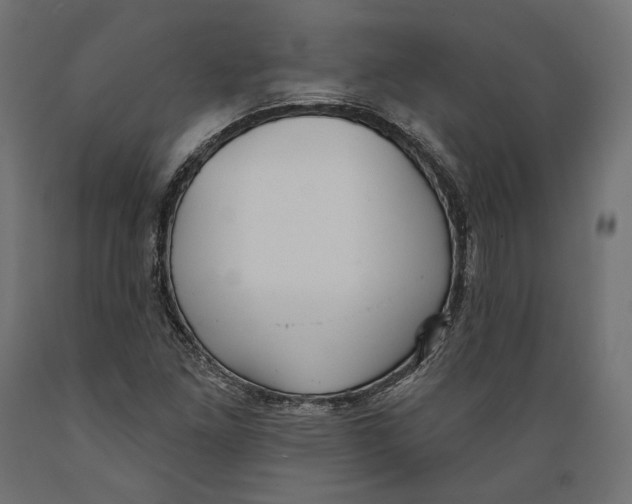 X0000088881261200707061402