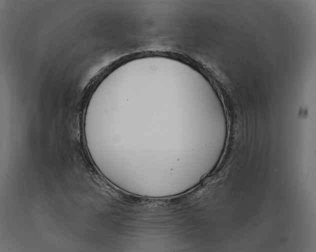 X0000088881262200707061402