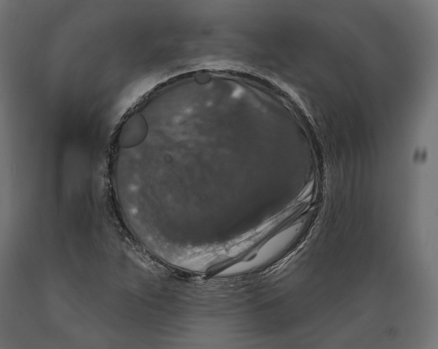 X0000088881263200707061402