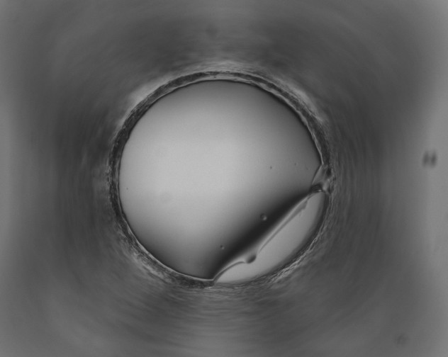X0000088881264200707061402