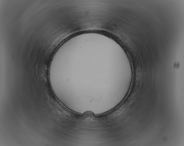 X0000088881265200707061402