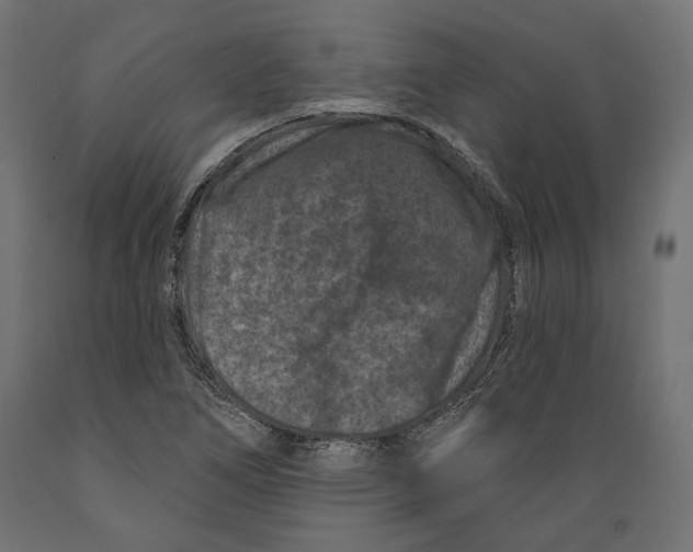 X0000088881266200707061402