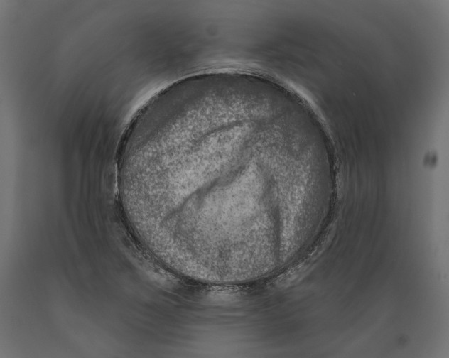 X0000088881267200707061402