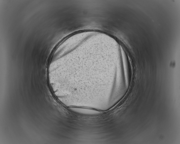 X0000088881268200707061402
