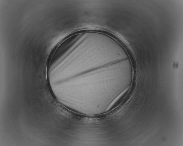 X0000088881269200707061402