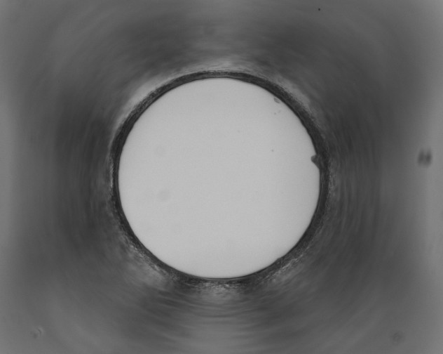 X0000088881270200707061402