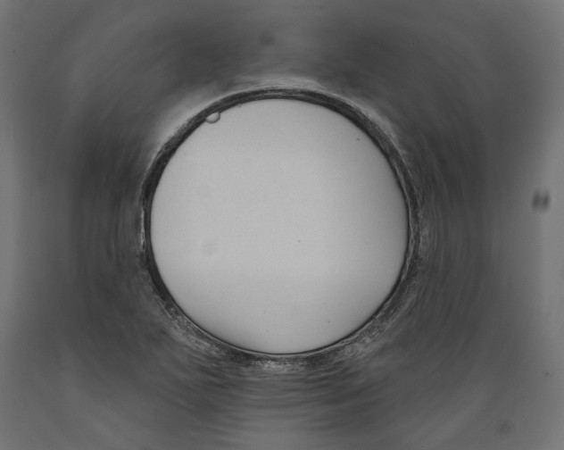 X0000088881271200707061402