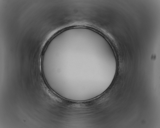 X0000088881272200707061402
