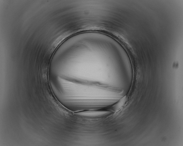 X0000088881273200707061402