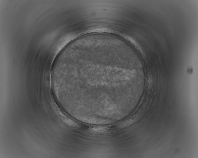 X0000088881274200707061402