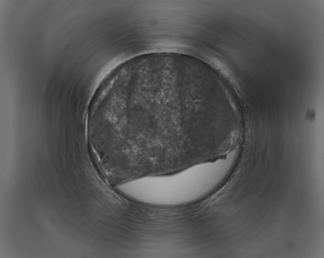 X0000088881275200707061402