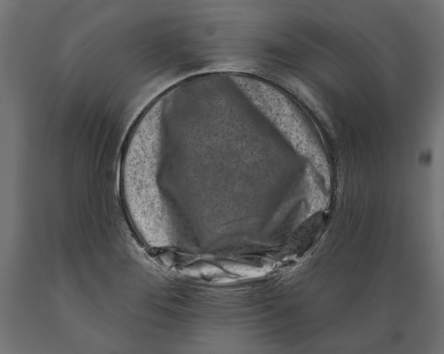 X0000088881276200707061402