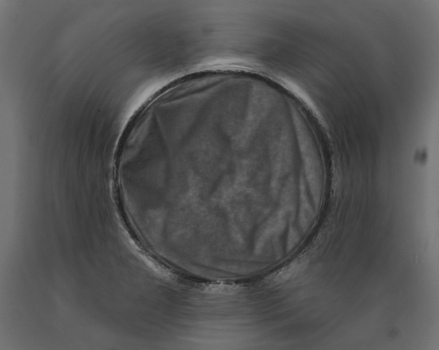 X0000088881277200707061402