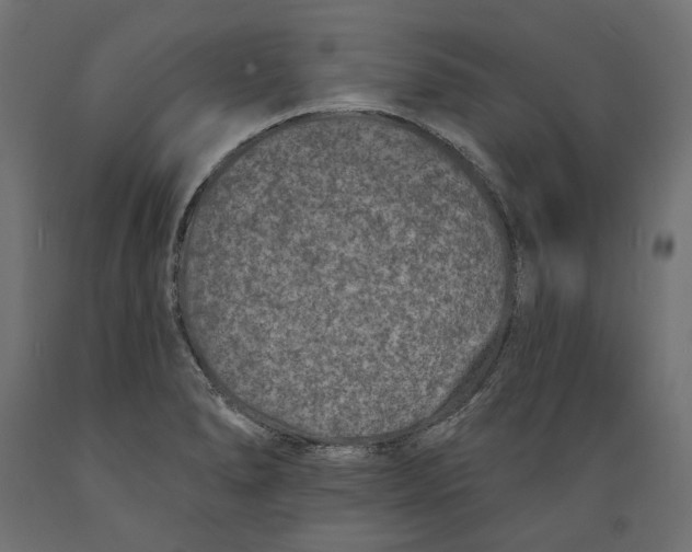 X0000088881278200707061402