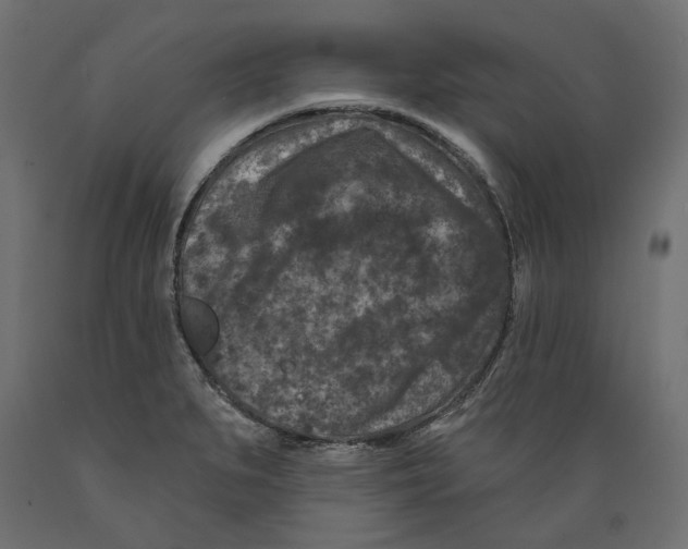 X0000088881279200707061402