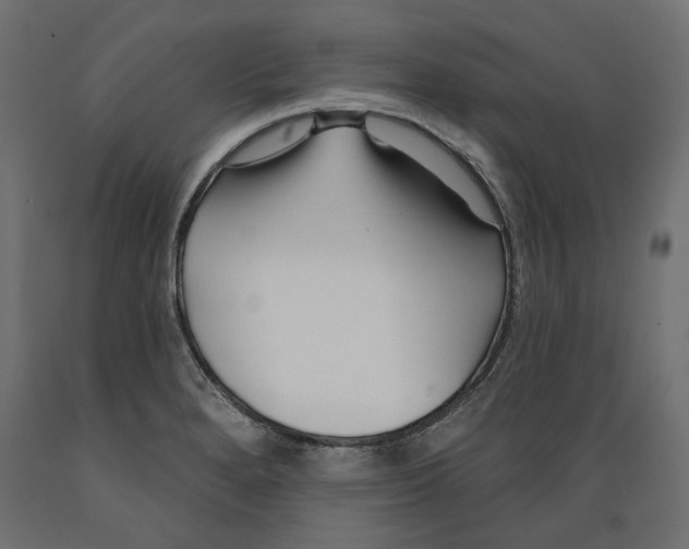 X0000088881280200707061402