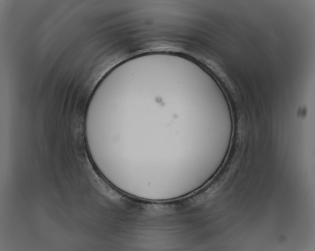 X0000088881281200707061402