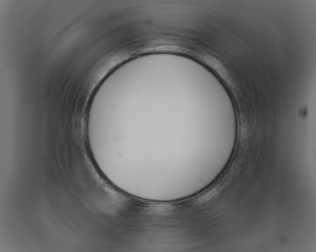 X0000088881282200707061402