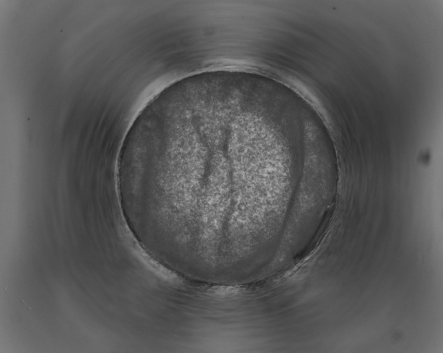 X0000088881283200707061402