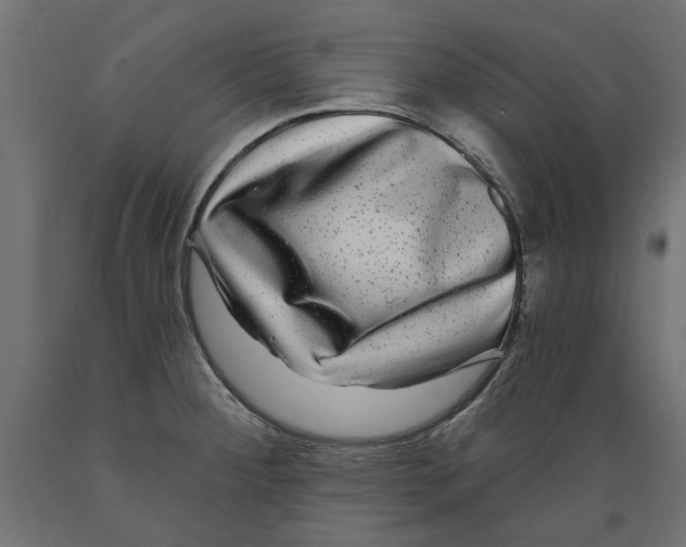 X0000088881284200707061402