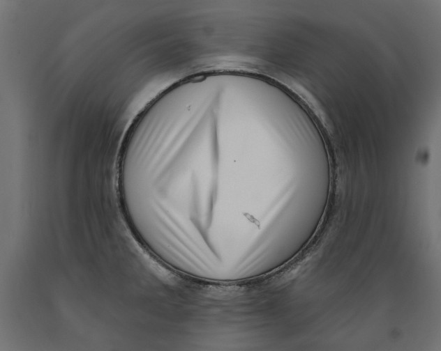 X0000088881285200707061402