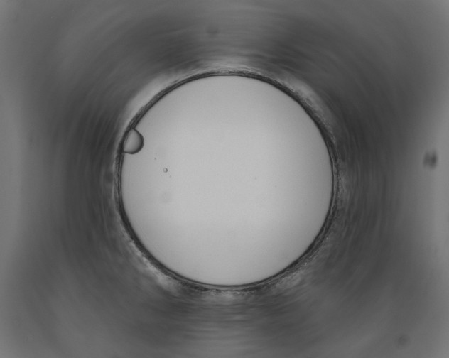 X0000088881286200707061402