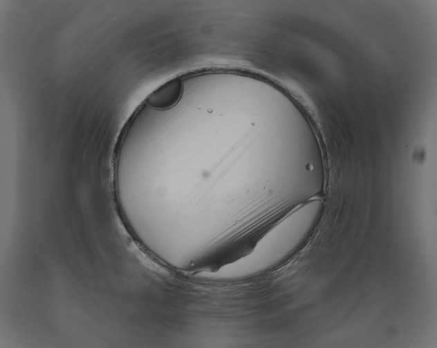 X0000088881287200707061402