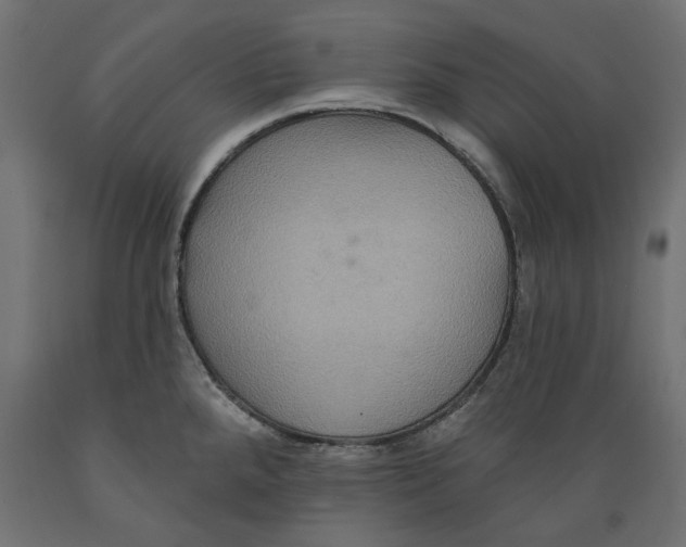 X0000088881288200707061402