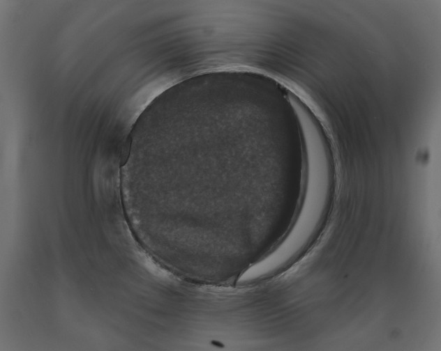 X0000088881289200707061402