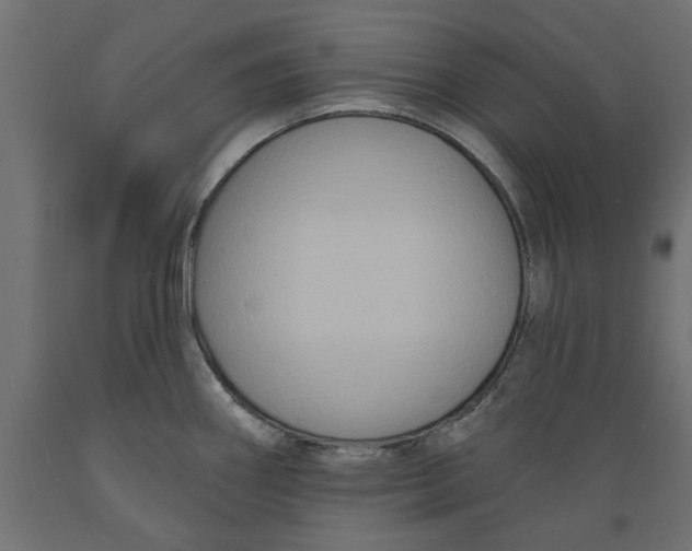 X0000088881290200707061402