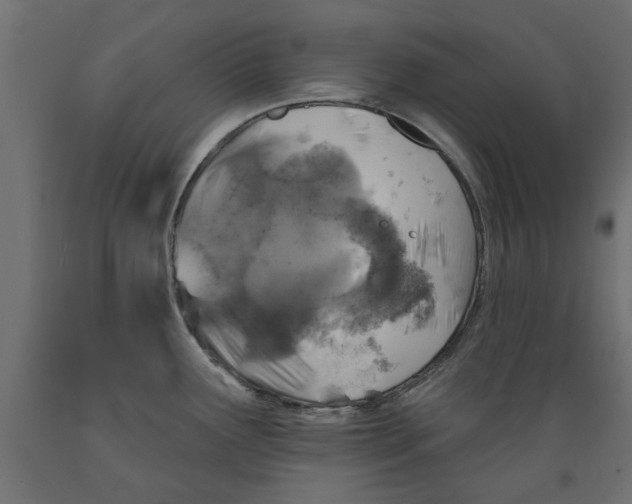X0000088881291200707061402