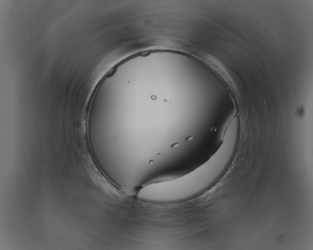 X0000088881292200707061402