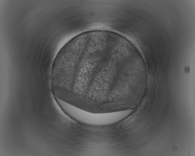 X0000088881295200707061401