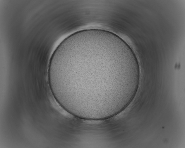 X0000088881296200707061401