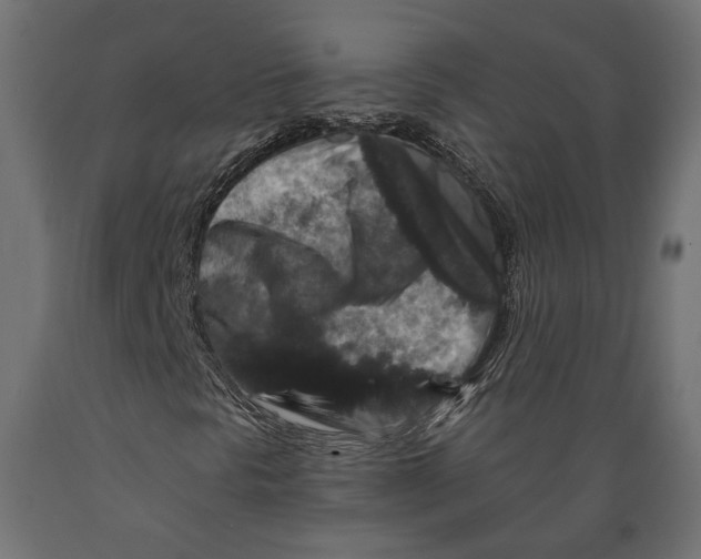 X0000088881297200707061401