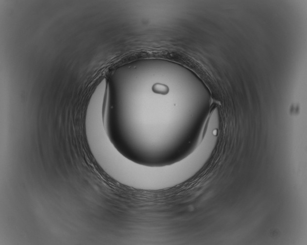 X0000088881298200707061401