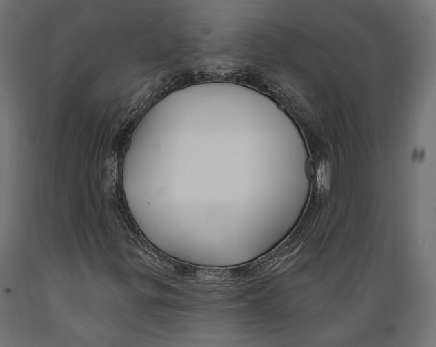 X0000088881299200707061401