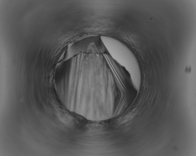 X0000088881300200707061401