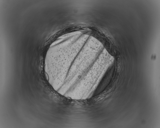 X0000088881301200707061401