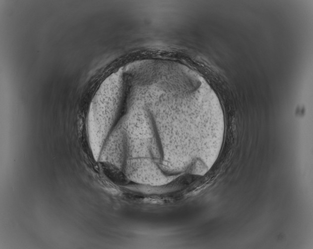X0000088881302200707061401