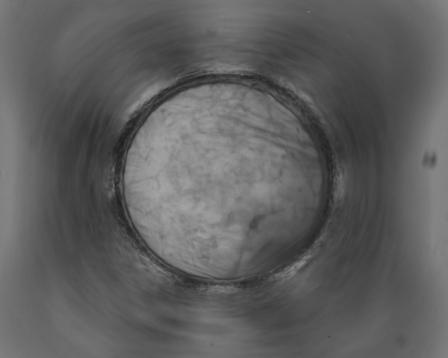X0000088881306200707061401