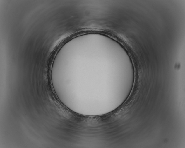 X0000088881307200707061401