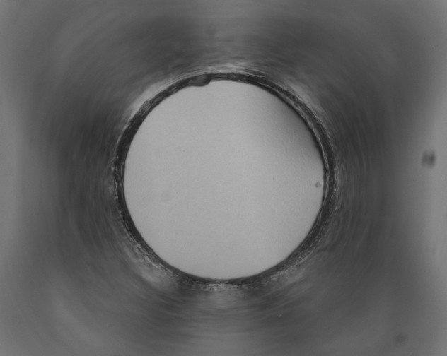 X0000088881308200707061401