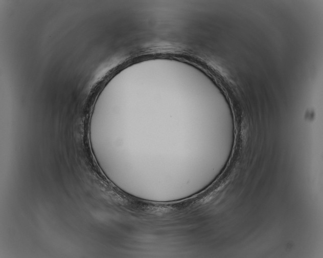 X0000088881309200707061401