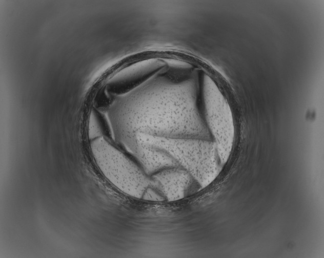X0000088881311200707061401