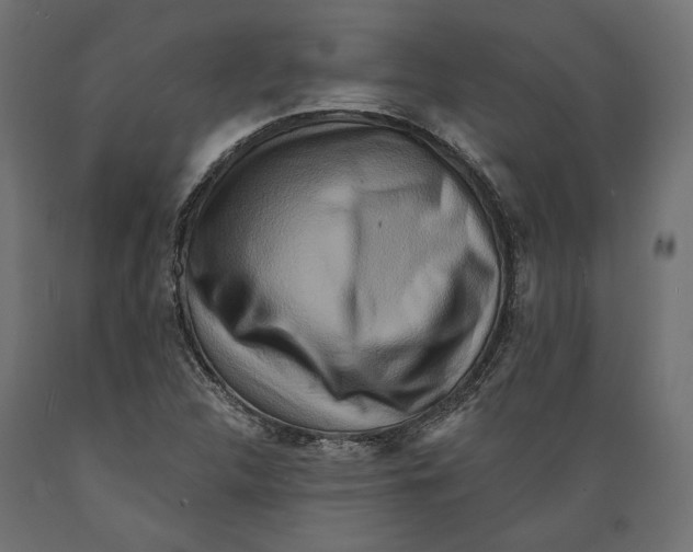 X0000088881312200707061401