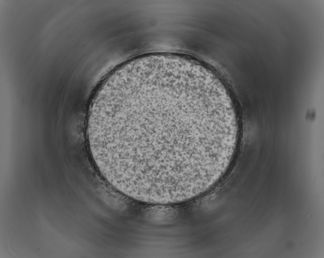 X0000088881314200707061401