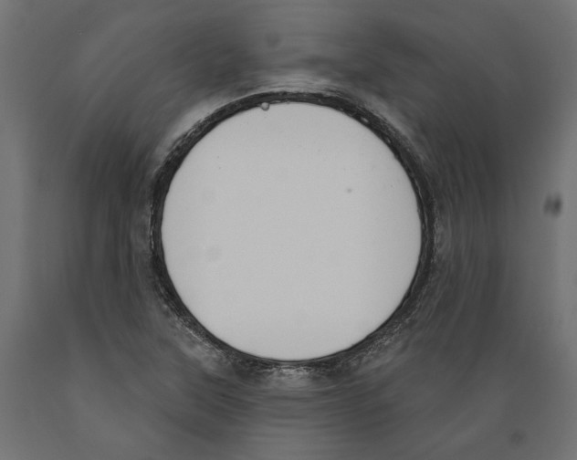 X0000088881315200707061401
