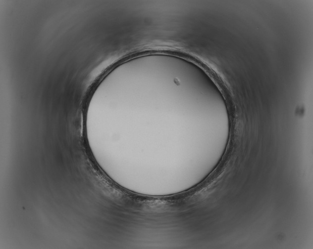 X0000088881317200707061401