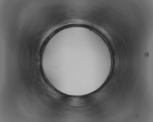X0000088881318200707061401
